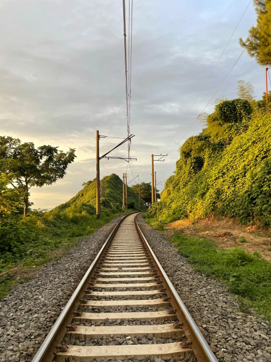 an overhead view of train tracks next to some trees