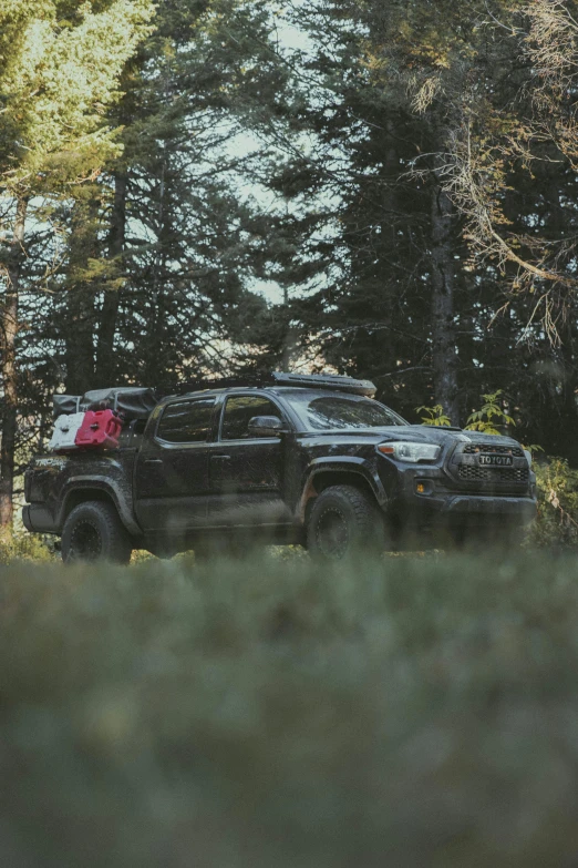 two vehicles parked next to each other on a forest