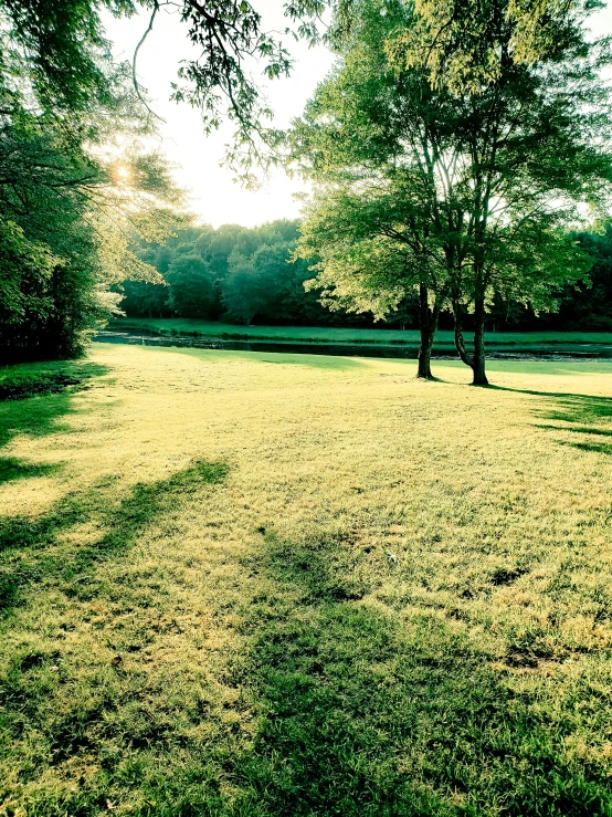 a large field with trees in the distance