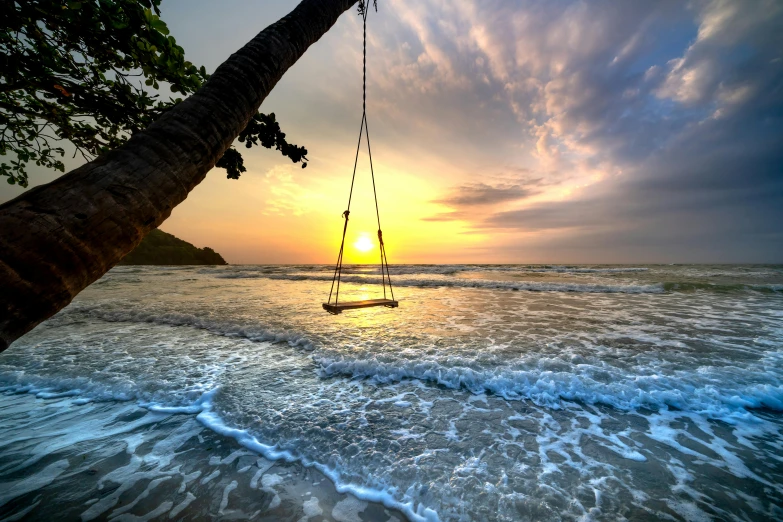 sailboat and a tree in the sea by sunset