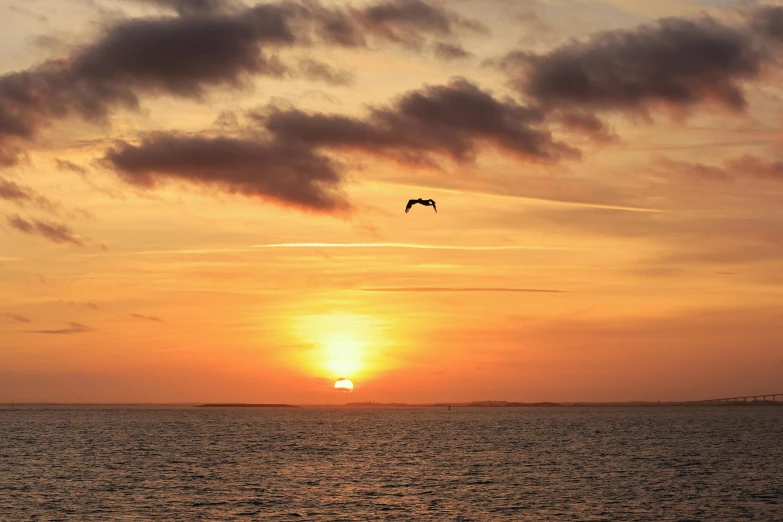 the sun rises over the ocean as seagulls fly by