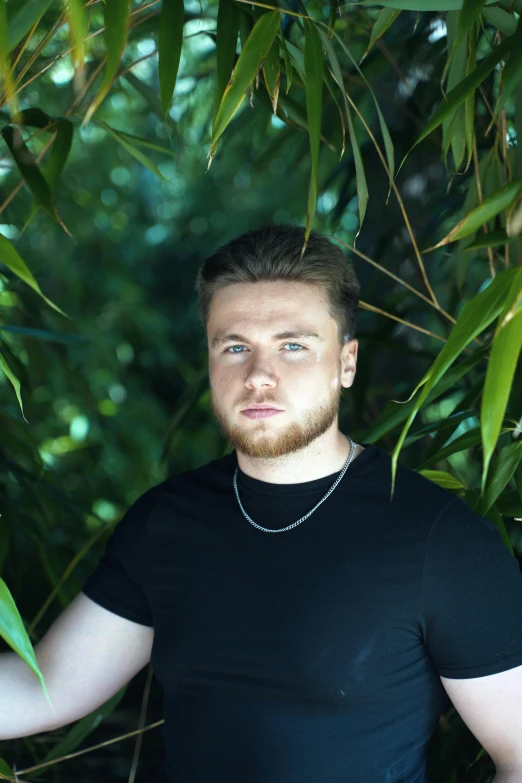 a man standing under green leaves of a tree