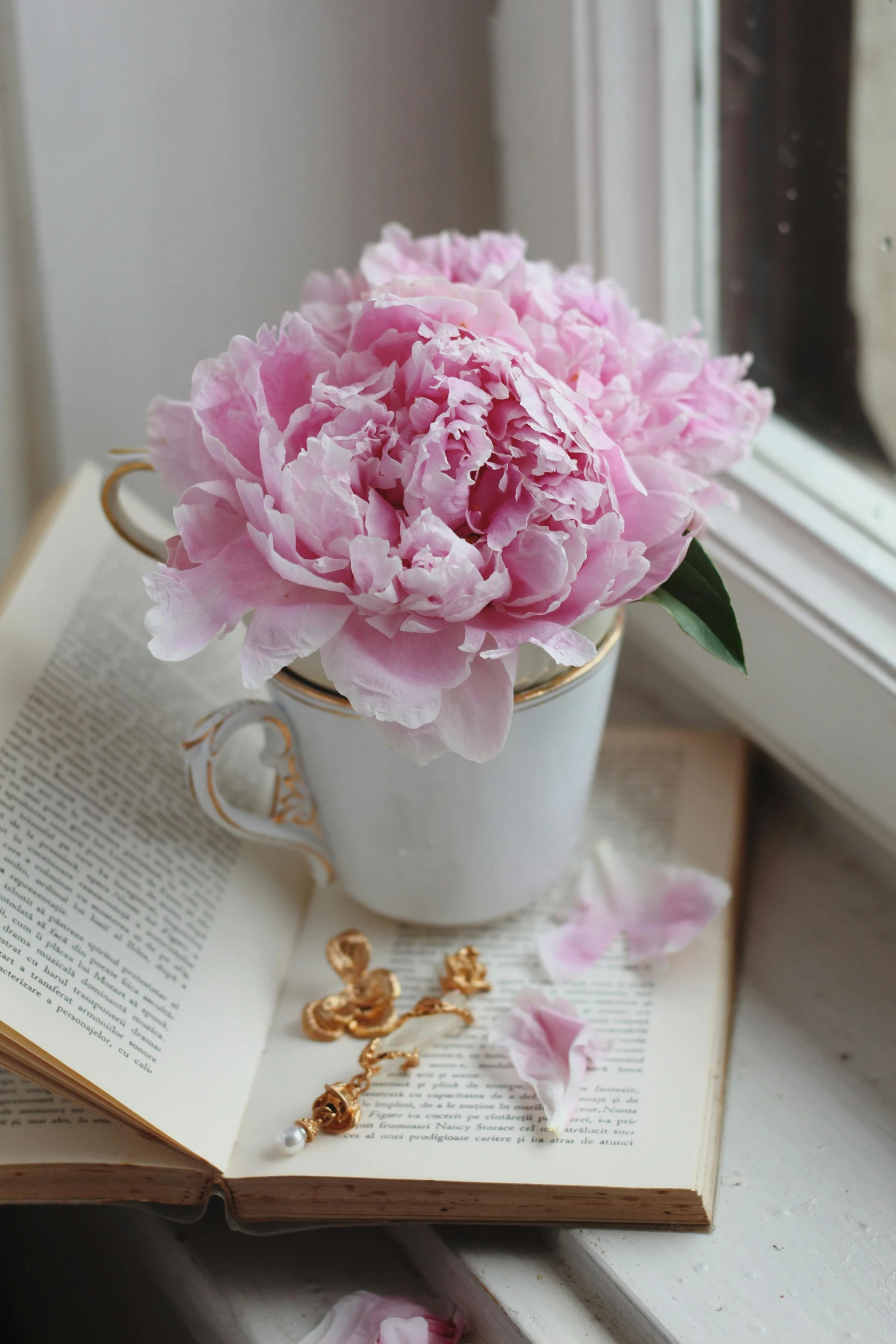 pink flowers sit on a book beside an open window