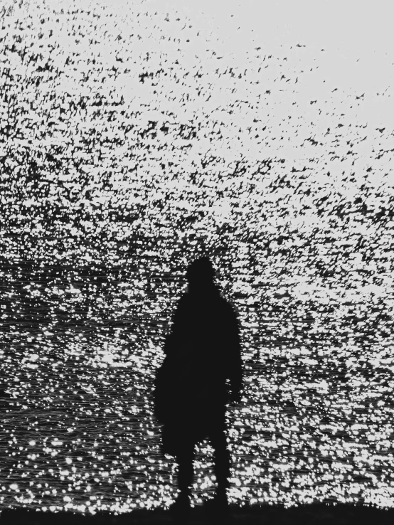 a person standing on top of the beach next to the ocean