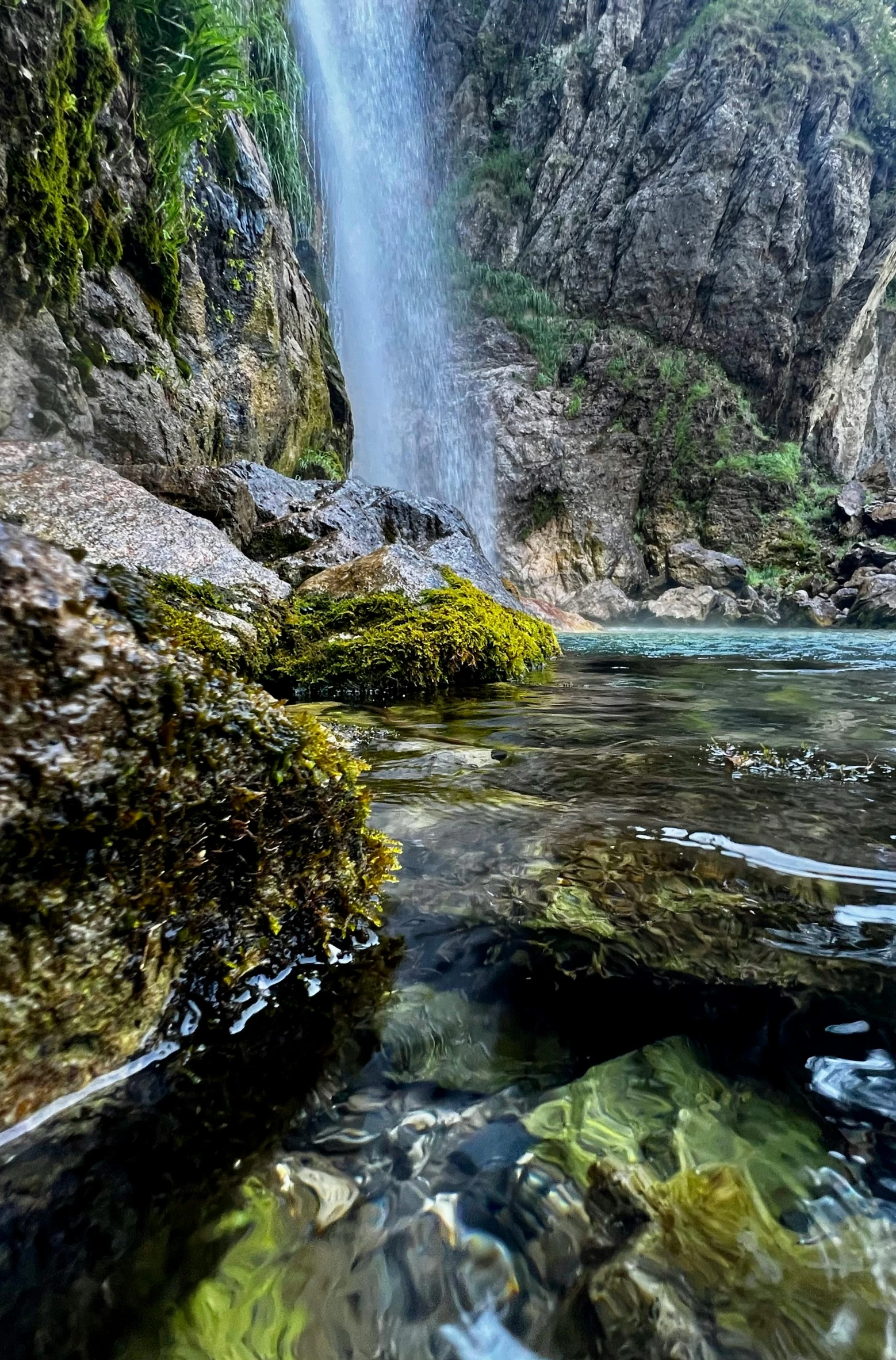 a waterfall and its surroundings in the wild