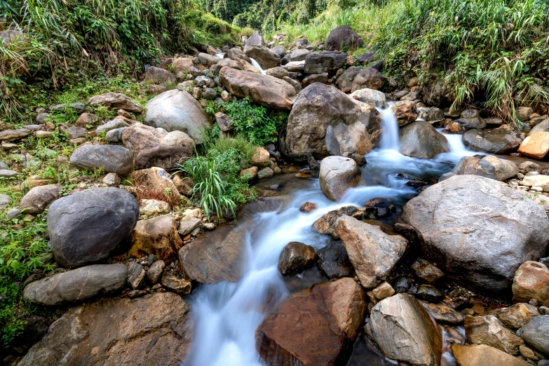 a bunch of rocks are in a stream near trees