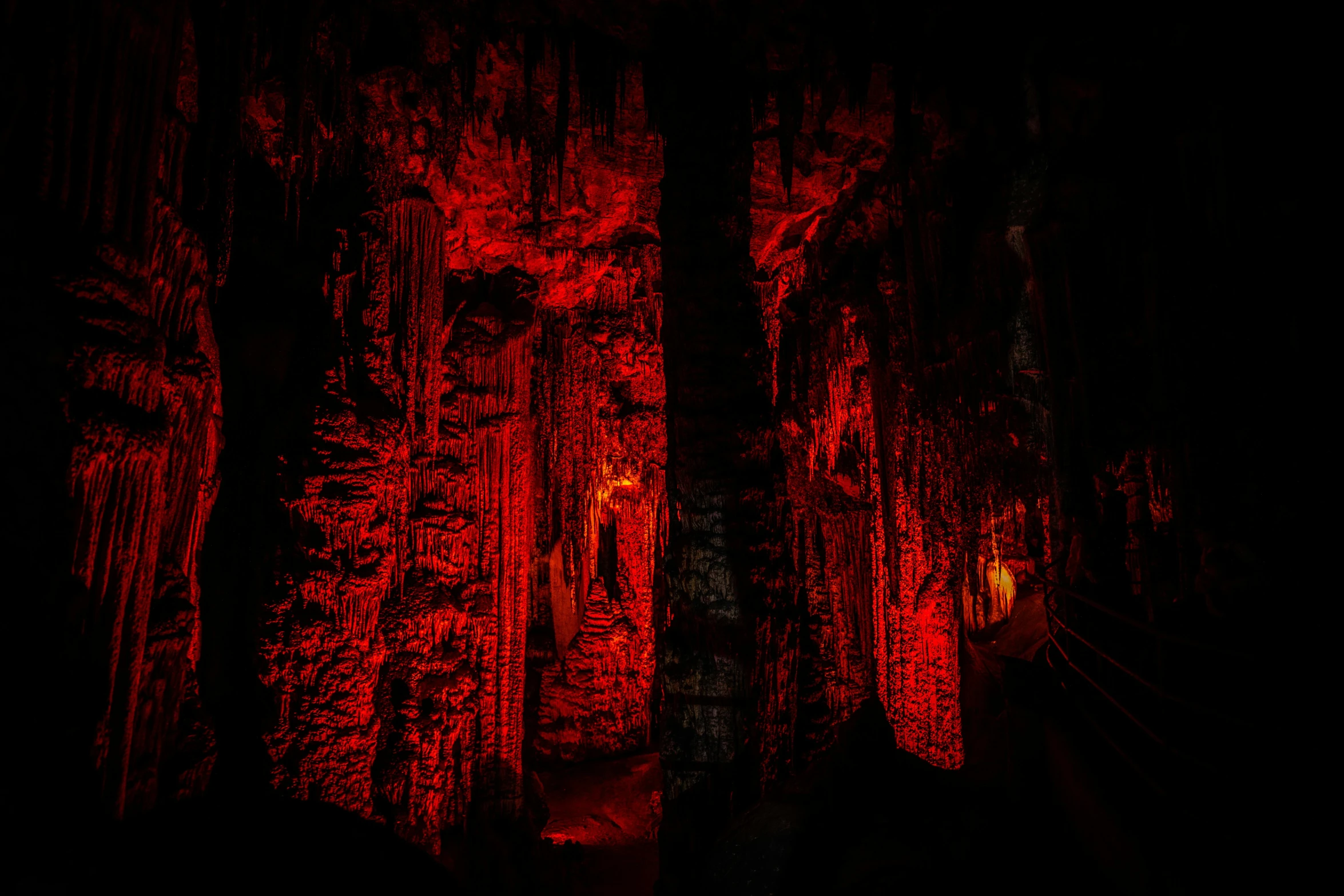 a group of trees that are lit up in red