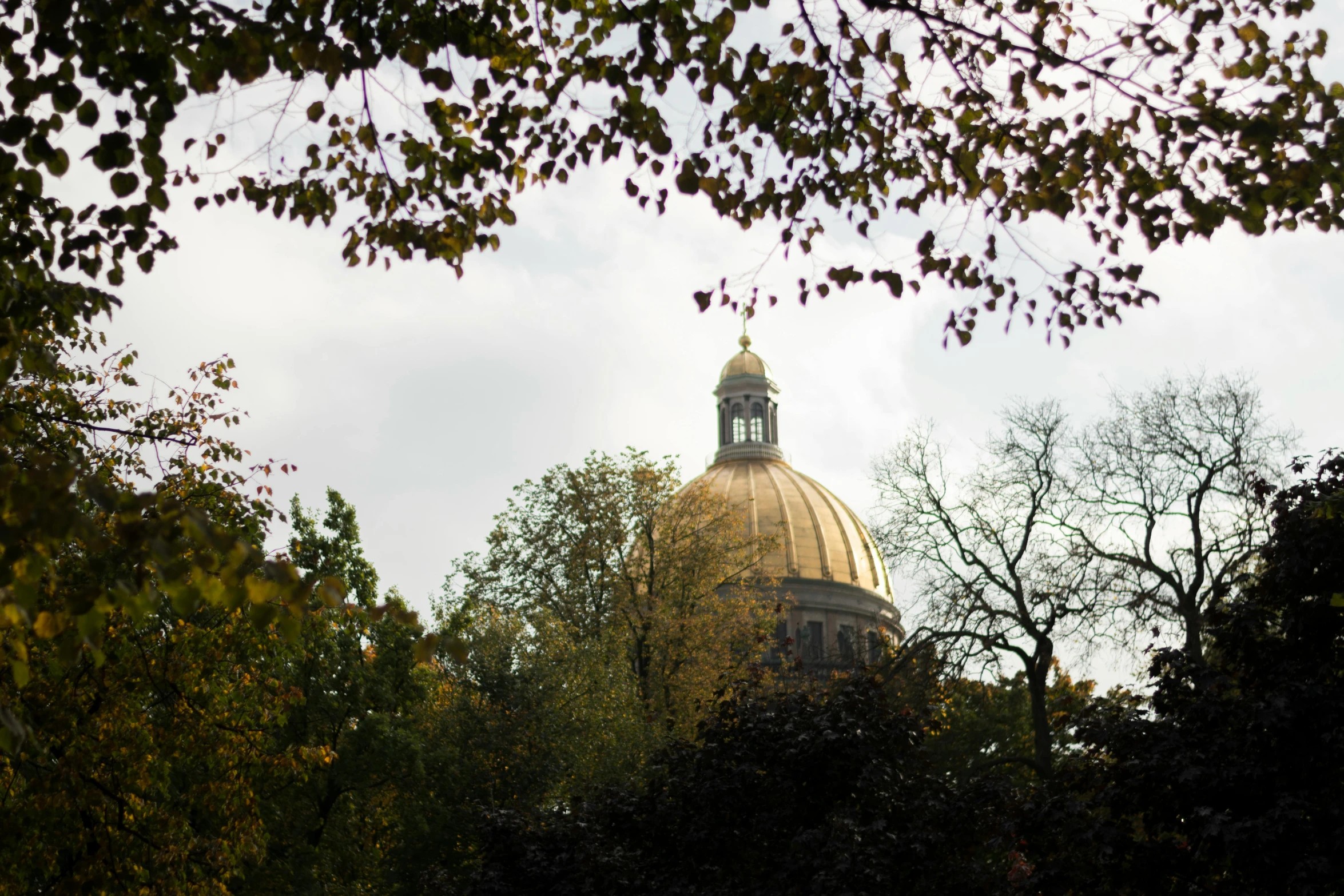 a view of a large dome in the trees