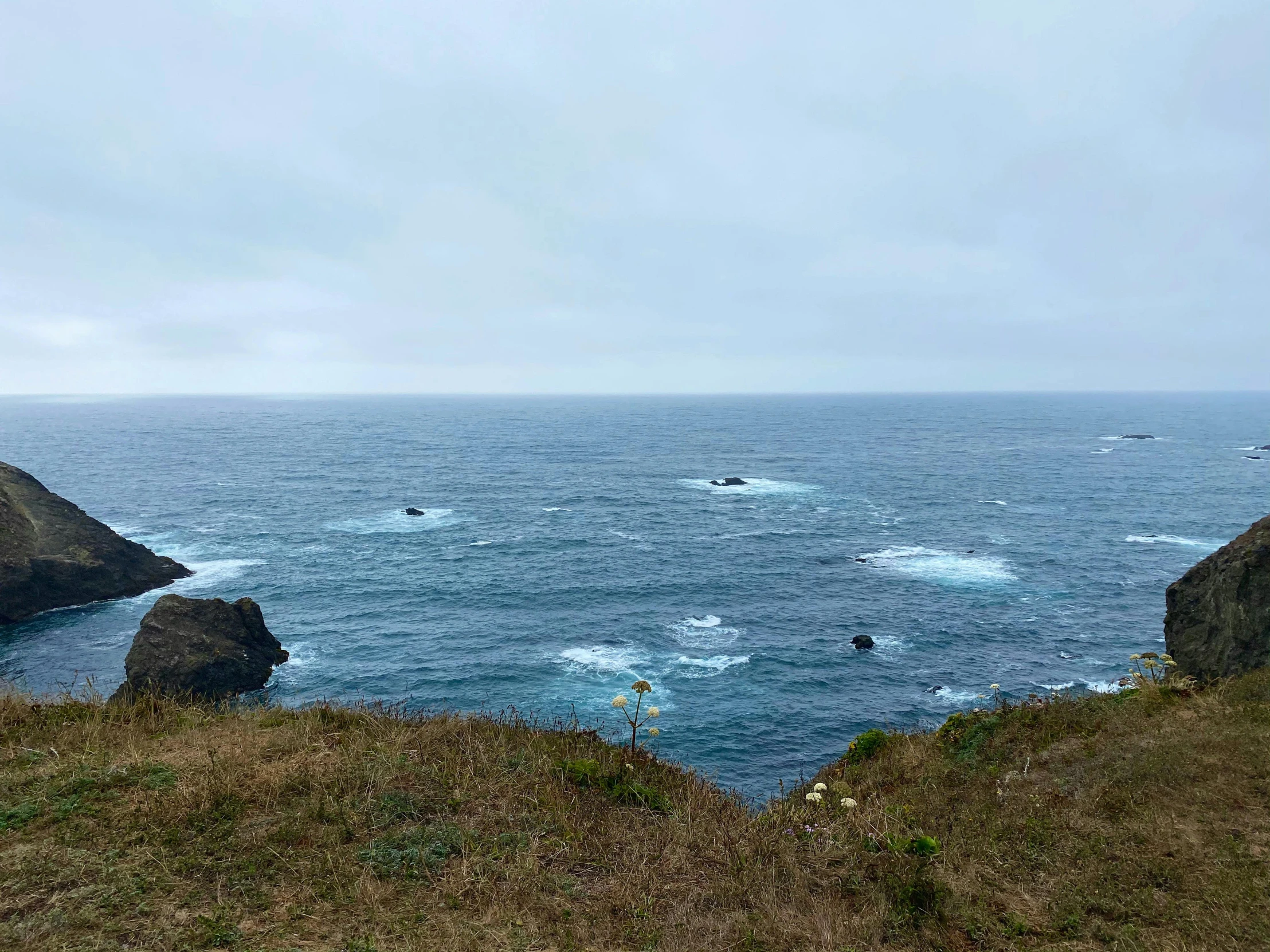 a grassy hill side overlooks the ocean