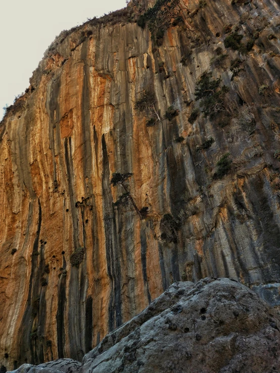 a tall rock wall with a single tree growing at the top