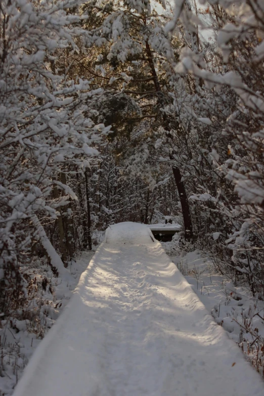 there is snow that covers a forest path