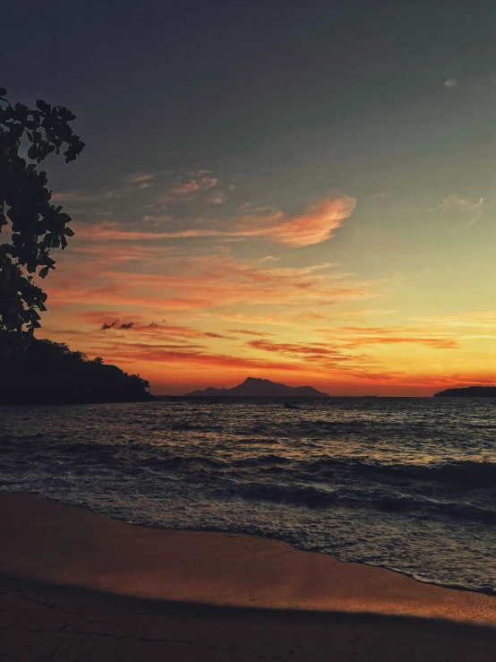 the sun setting over the ocean and a tree at the beach