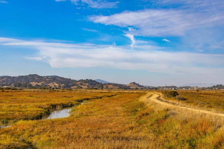 there is a small stream that runs through a meadow