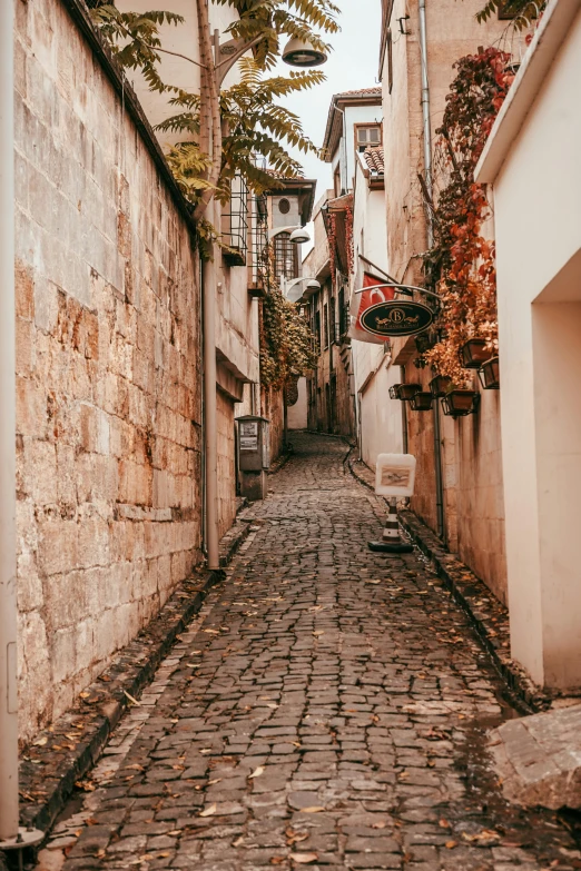 a cobblestone street with a clock and trees on the side