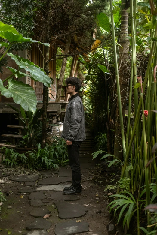 a boy stands in the middle of a path through tropical vegetation