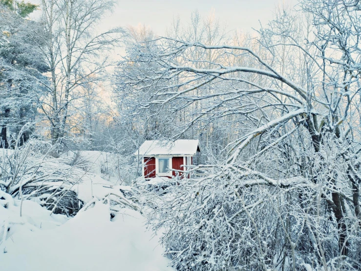 a cabin is covered in snow and sits among the trees
