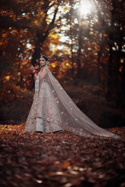 an image of the bride in a wedding dress and holding her veil