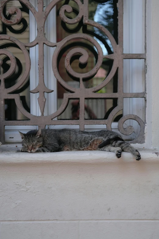 a gray and black cat sleeping on the ledge of a window