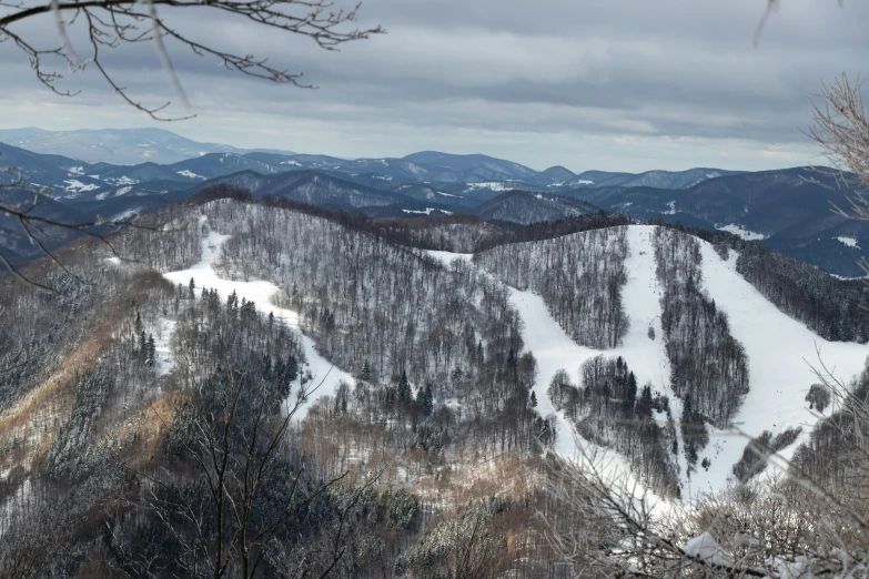 a bunch of mountains covered in snow next to a forest