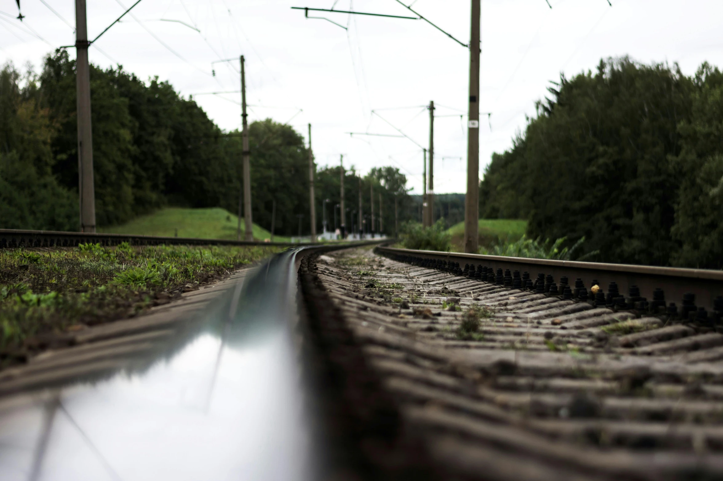 a po taken from a train track of some grass