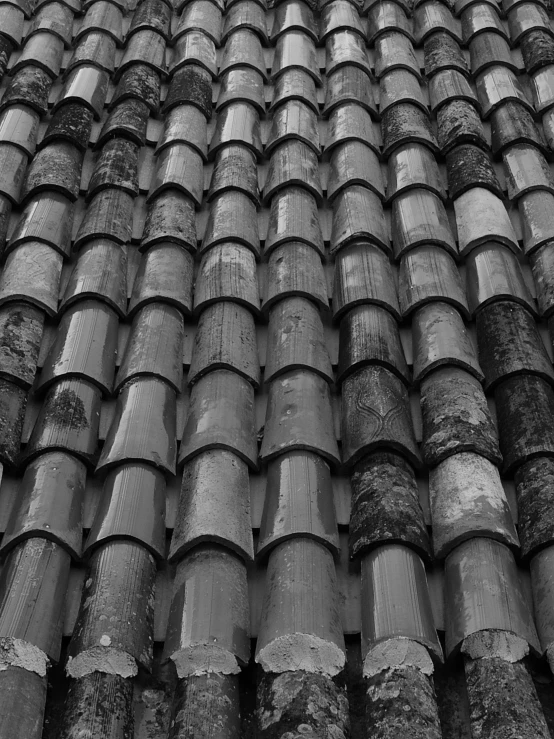 roof with lots of tiles and moss growing on it