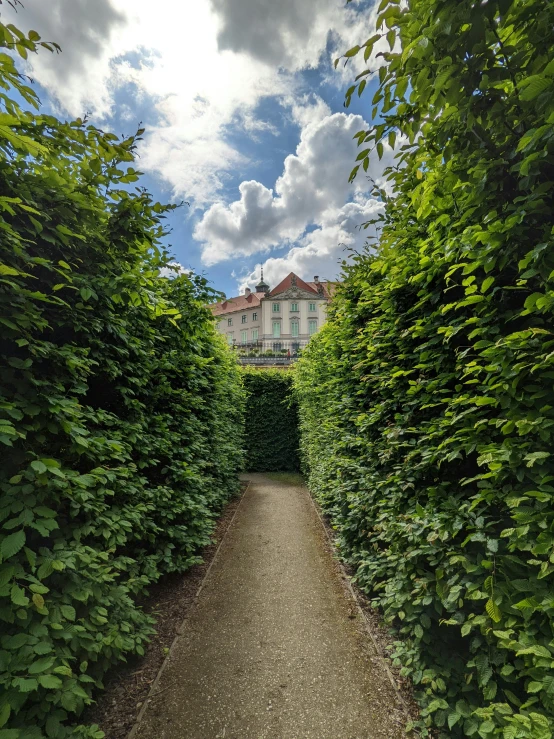 a pathway surrounded by trees next to buildings