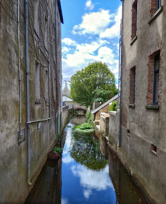 a small river running between two buildings
