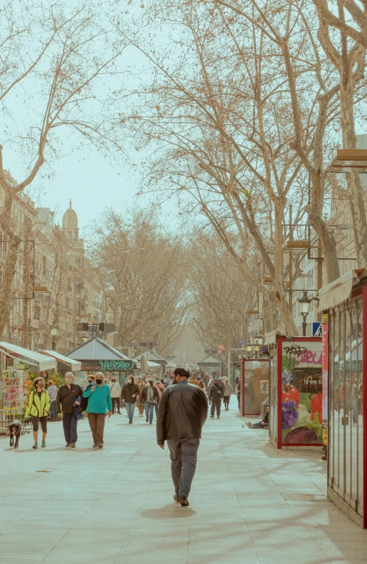 the city has several buildings and shops on both sides