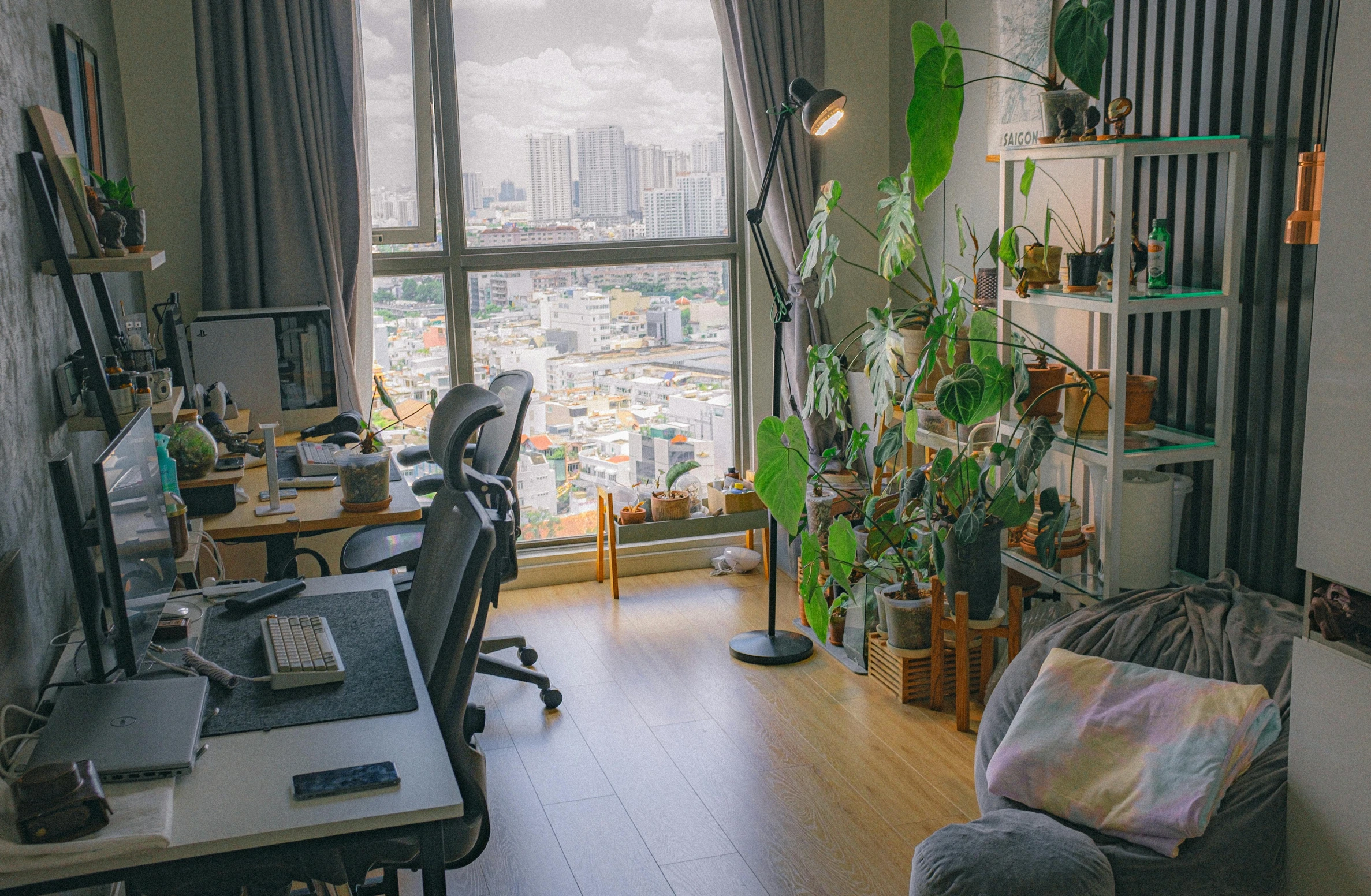 a room with two large windows and a lot of plants