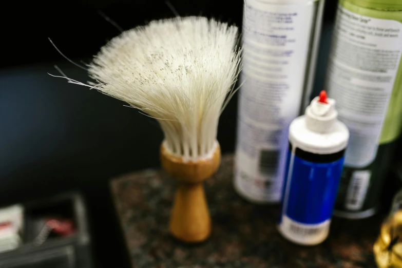 a close up of an old style brush