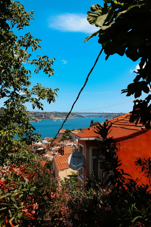 a view of a lake and trees from outside