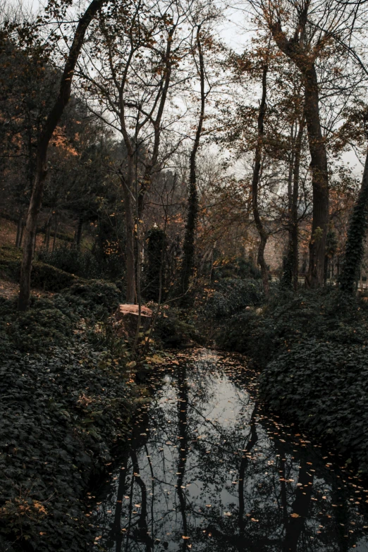 a beautiful river that is surrounded by many trees