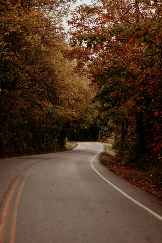 a winding road in a wooded area with trees