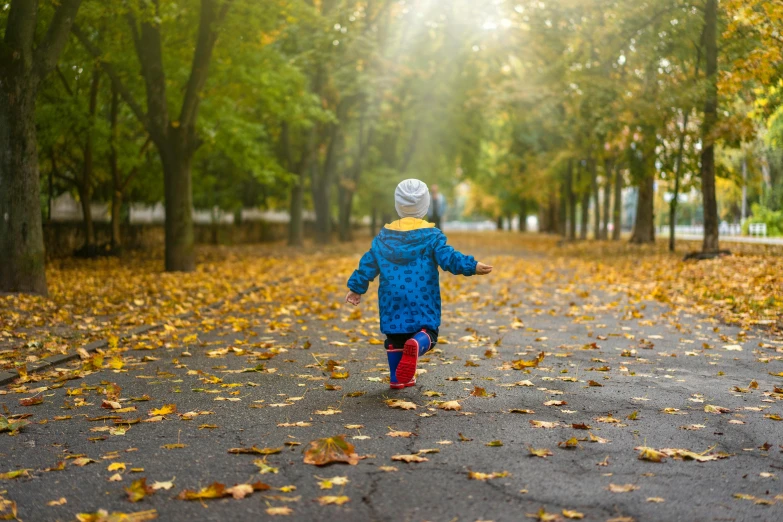 the child is walking in the park on an autumn day