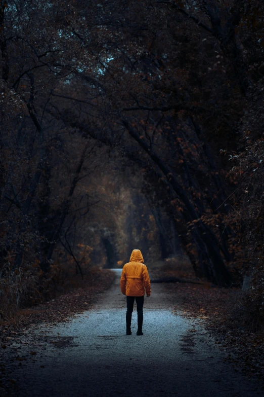 a person is walking down a road, with a light on