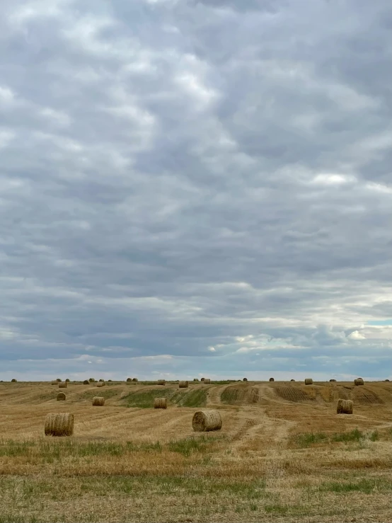 a field full of hay bales with a sky background