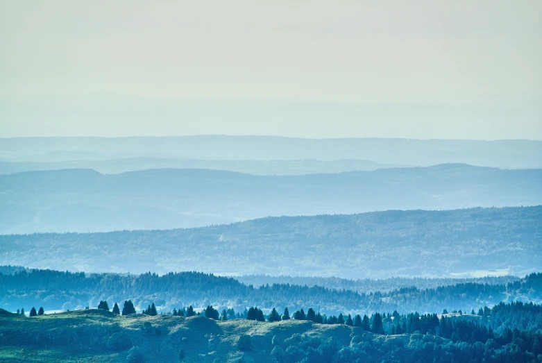 the view from a hill with many trees on it