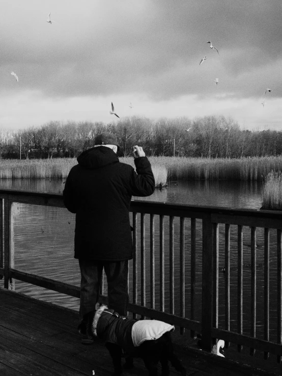 people on a bridge watch the birds flying over the water