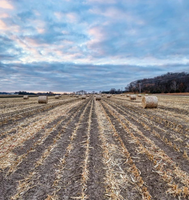 there is a large open field with a field in the foreground