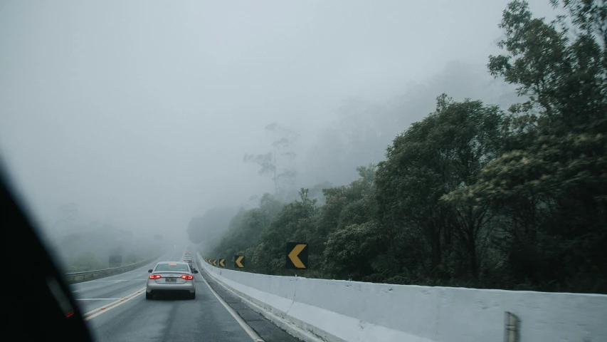 cars driving on a street with thick fog