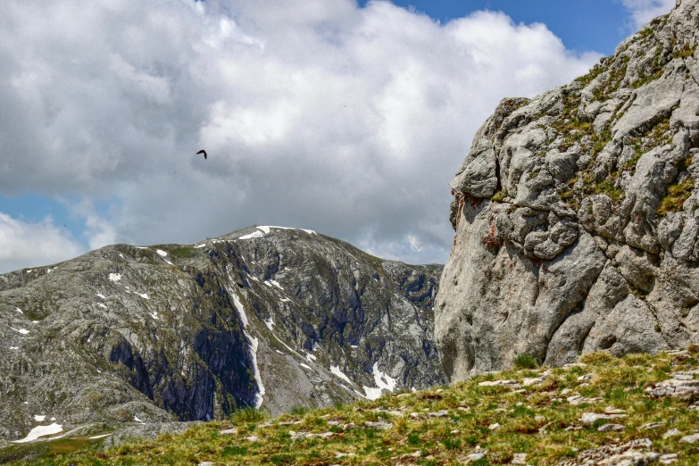 bird flying over the tops of mountain peaks