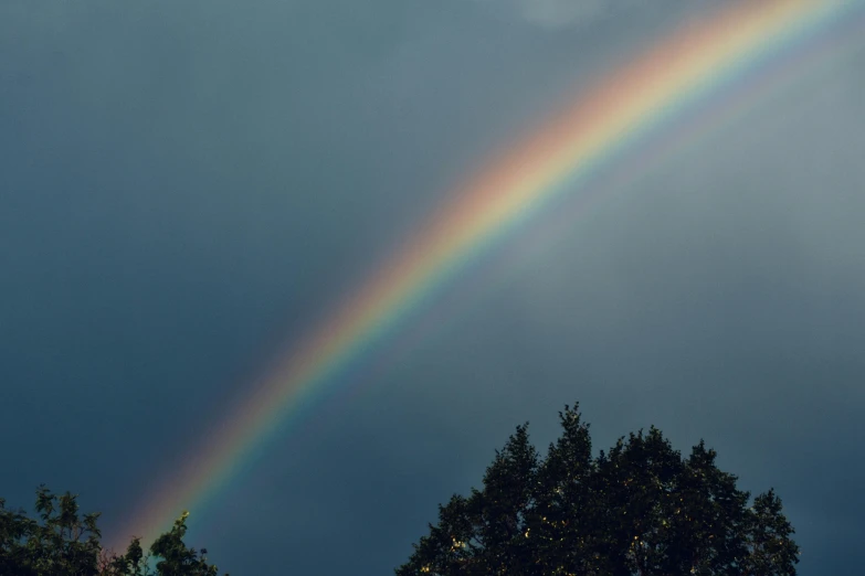 a rainbow and trees during the day with dark clouds