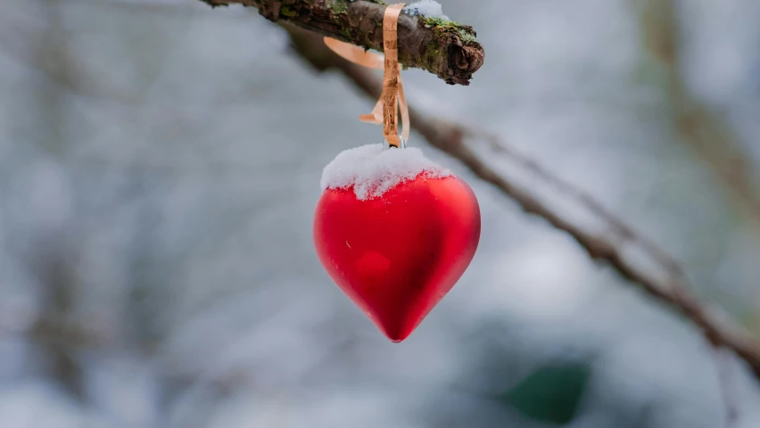 a red heart hanging from a tree nch