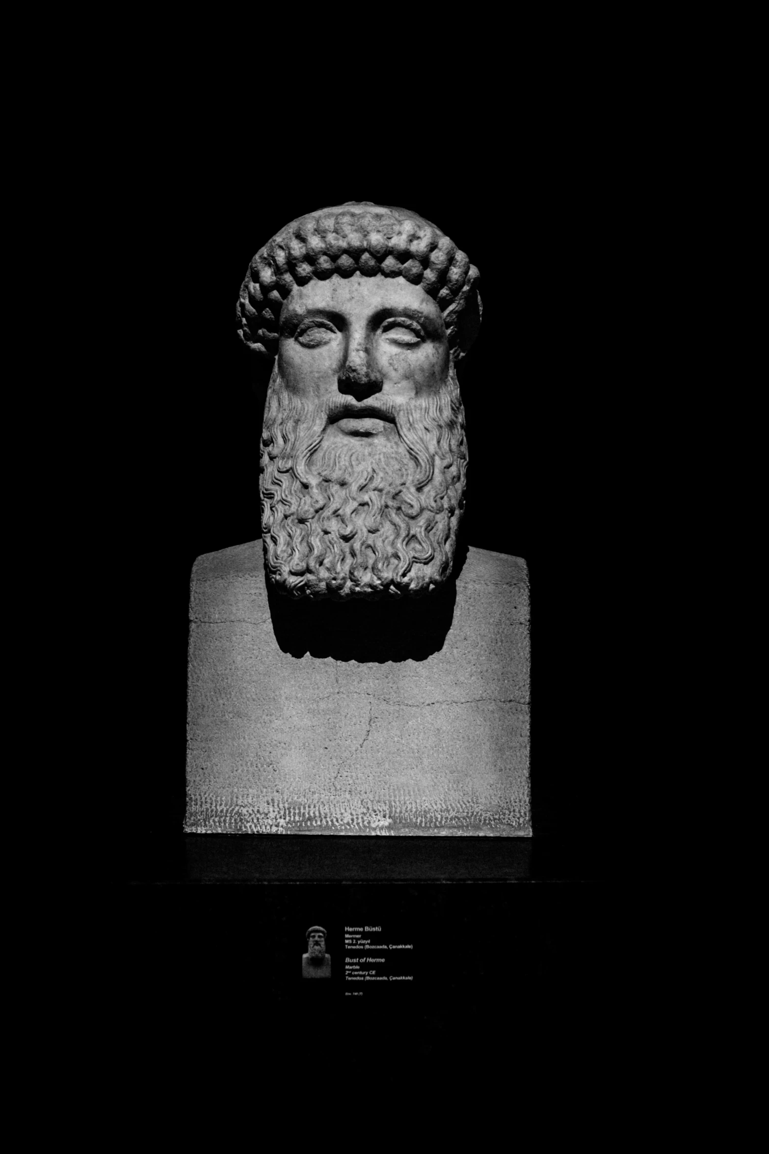 a black and white po of a bust of a greek man