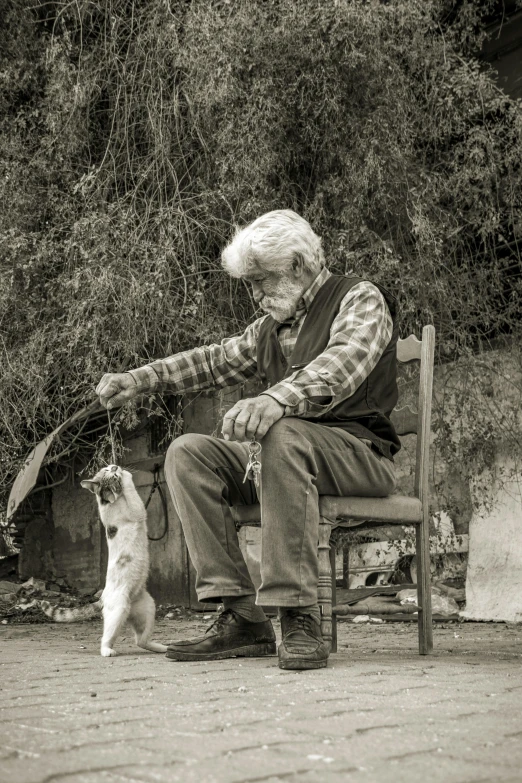 an old man on a bench with a cat standing next to him