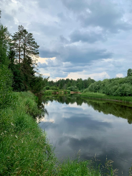 the body of water with trees on both sides