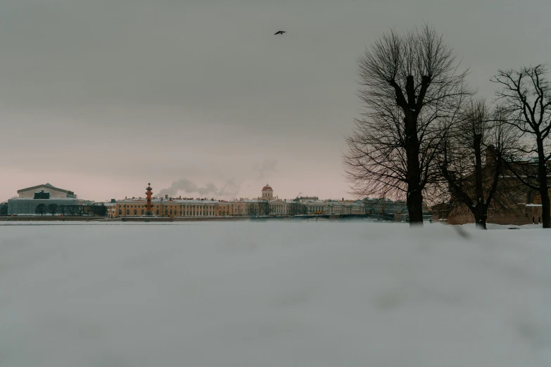 large building with chimneys next to some trees on a snowy field