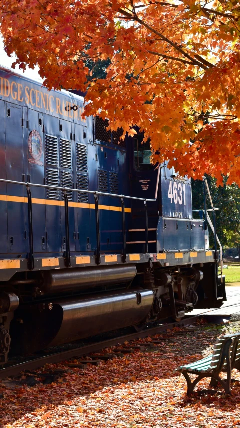 a train driving down the tracks under an orange tree