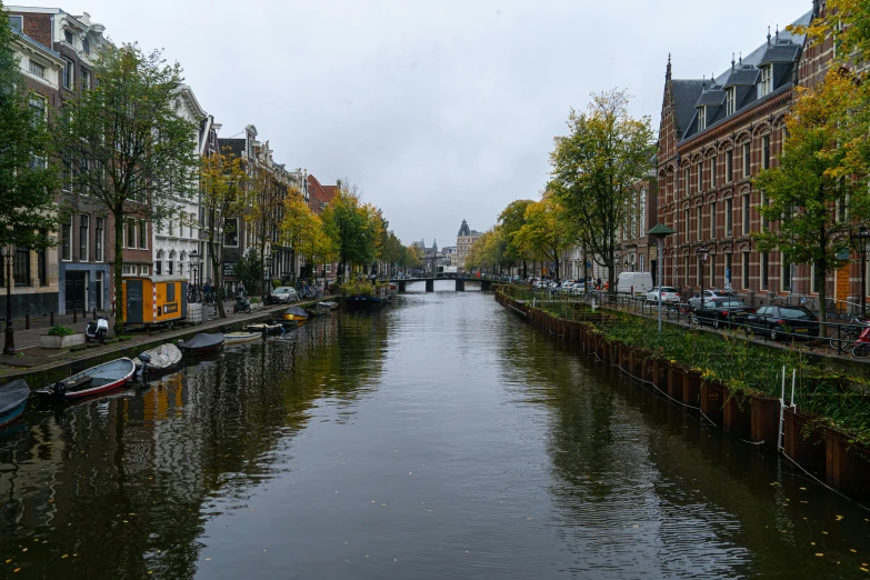 many houses are along the edge of the waterway