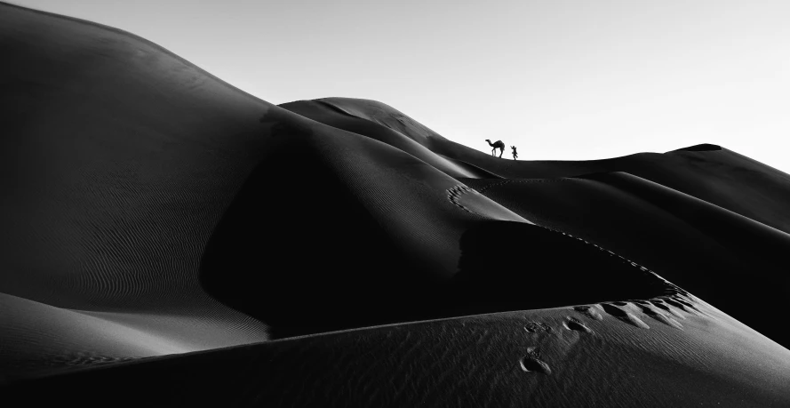 two people are standing on top of a giant dune